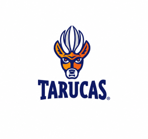 Tarucas